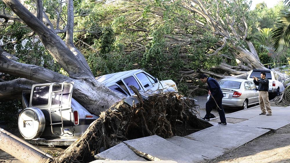 Put Safety First: What to Know During High Wind Events