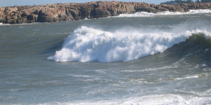 Tsunami Preparedness Week photo