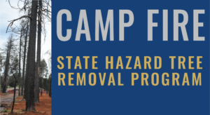 State Hazard Tree Removal Program