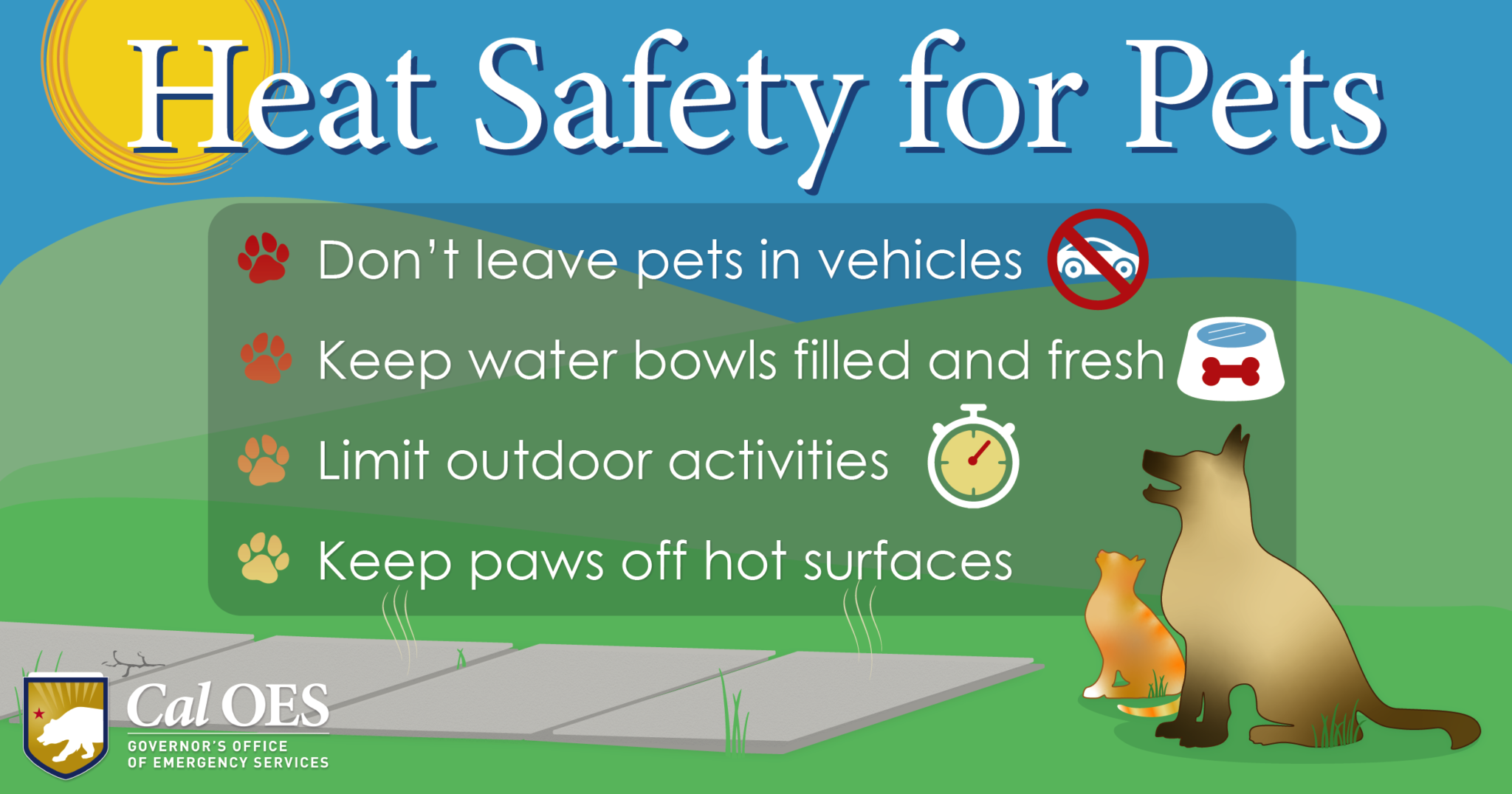 Keep Your Fur Babies Safe from High Heat This Summer | Cal OES News