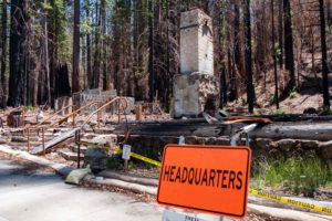 a burned-down big basin state park headquarters
