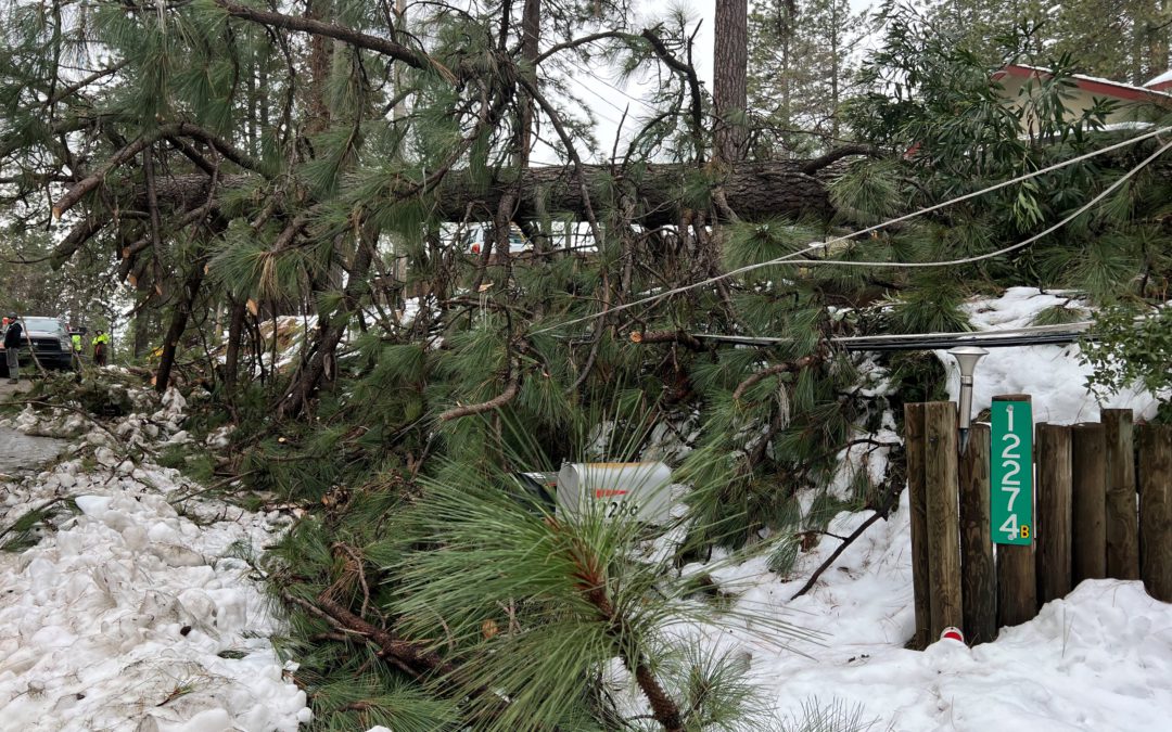 Ayuda en el Condado de Nevada para afectados por intensa nevada