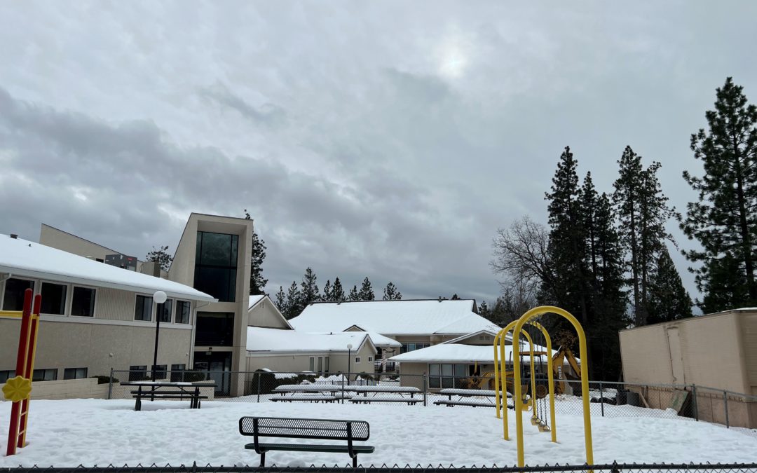 INCENDIOS FORESTALES EN INVIERNO