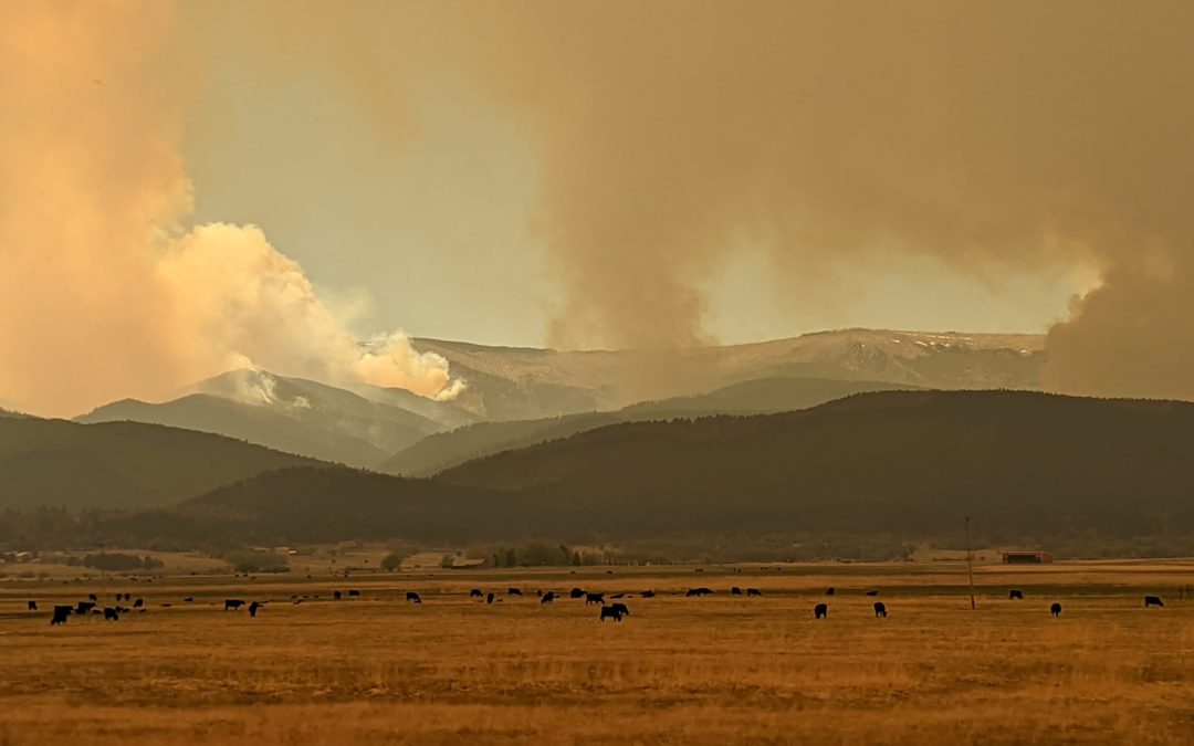 California Sends Recovery Team to New Mexico for Second Deployment in Support of Wildfires