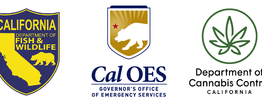 California Takes Action To Combat Illicit Cannabis Grow, Transnational Criminal Organizations