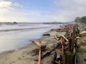 Seacliff State Beach overlooking the pier with tree debris on the beach and damage from the 2023 winter storms