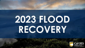 Text reading, "2023 Flood Recovery" on a blue semi-transparent dash. Graphic over a photo of a tree.