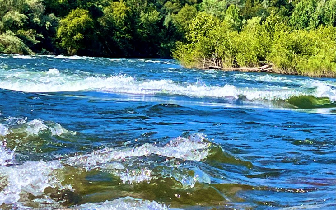 Steer Clear of These Water Hazards When Recreating This Summer