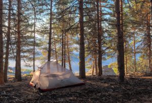 Tent in forest for Camping