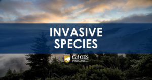 image of a forest skyline with an opaque blue box overlay and white text that reads Invasive Species. The Cal O E S logo under the text in the center