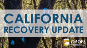 A graphic reading, "CALIFORNIA RECOVERY UPDATE" on a white opaque bar over a photo of trees. A cal O E S logo in the bottom right corner.