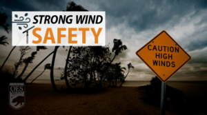 Orange sign that states "caution high winds" in front of trees blowing from strong winds. Text states "Stong wind safety."