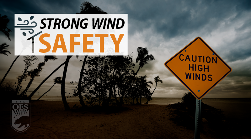 Staying Safe in High Winds