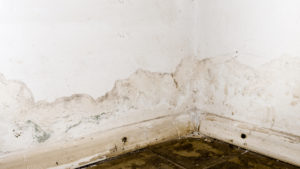 flooding-rainwater-floor-heating-systems-causing-damage-peeling-paint-mildew-image-scaled