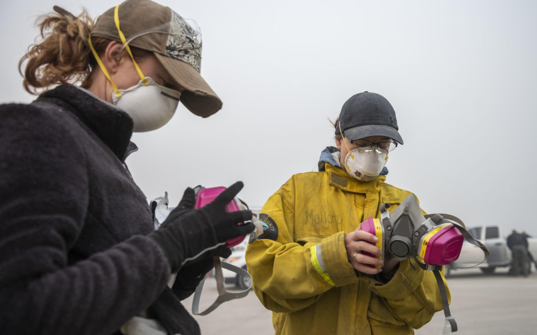 State Anthropologists Return from Maui Recovery Deployment