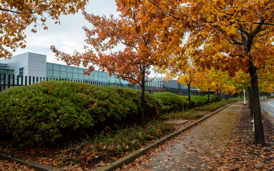 Changing Temperature Preparedness