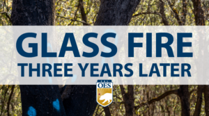 Image of trees with text that reads Glass Fire Three Years Later