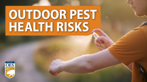 image of a person spraying bug spray on to their arm. text reads outdoor pest health risks and the cal O E S logo in the corner