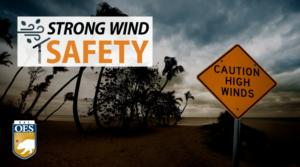 A graphic reading, "Strong Wind Safety." Over a photo of a silhouetted landscape with stormy clouds and wind bent trees.