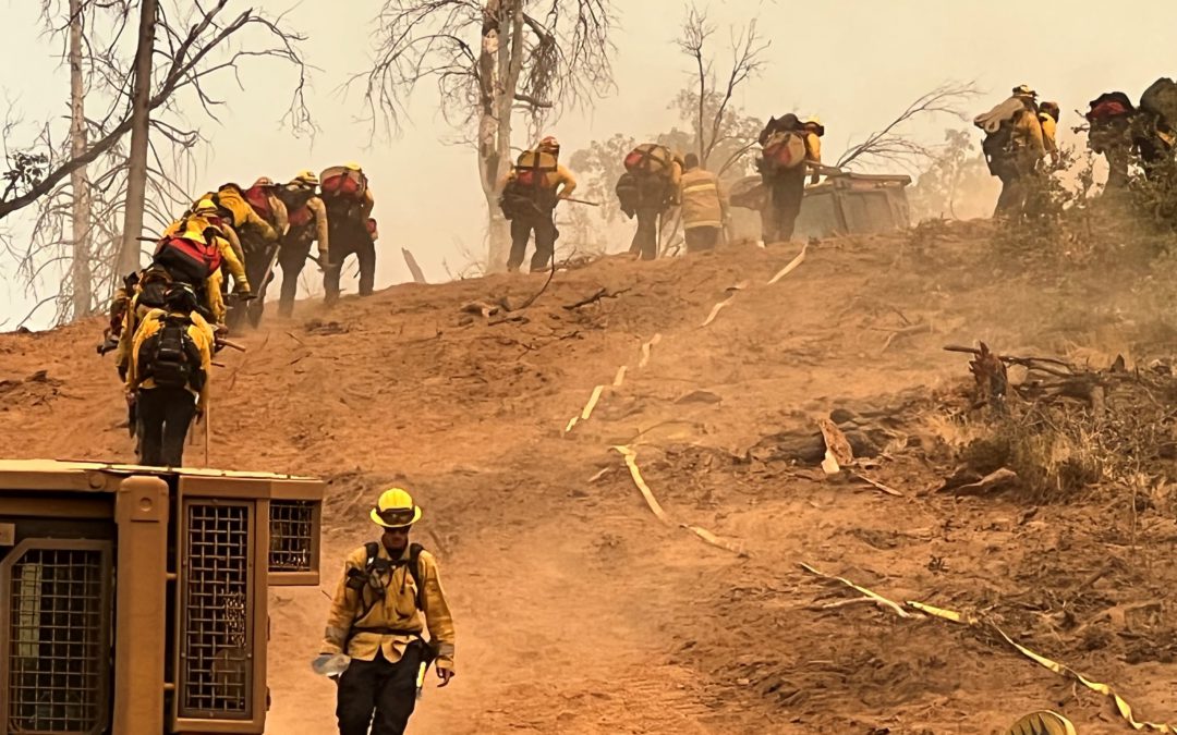 Unlocking Opportunities: Grants for Local Resilience