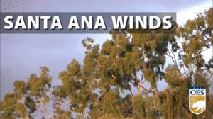 wind blowing through trees with the text Santa Ana Winds and the Cal OES logo on the bottom right corner
