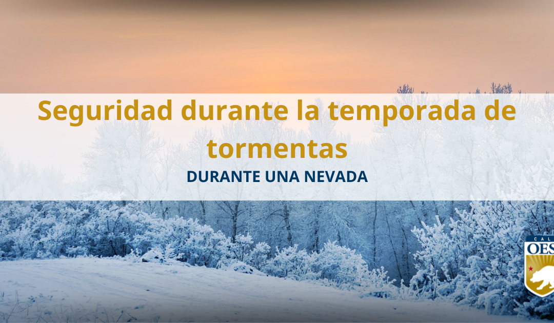 Seguridad durante la temporada de tormentas: Durante una nevada