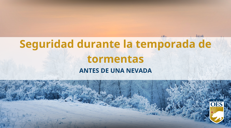 Seguridad durante la temporada de tormentas: Antes de una nevada