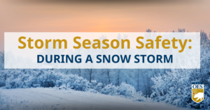 Image of a snowy landscape with trees. Text Reads: Storm Season Safety: During a Snow Storm