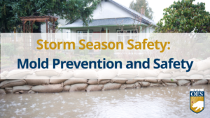 Storm Season Safety: Mold Prevention and Safety