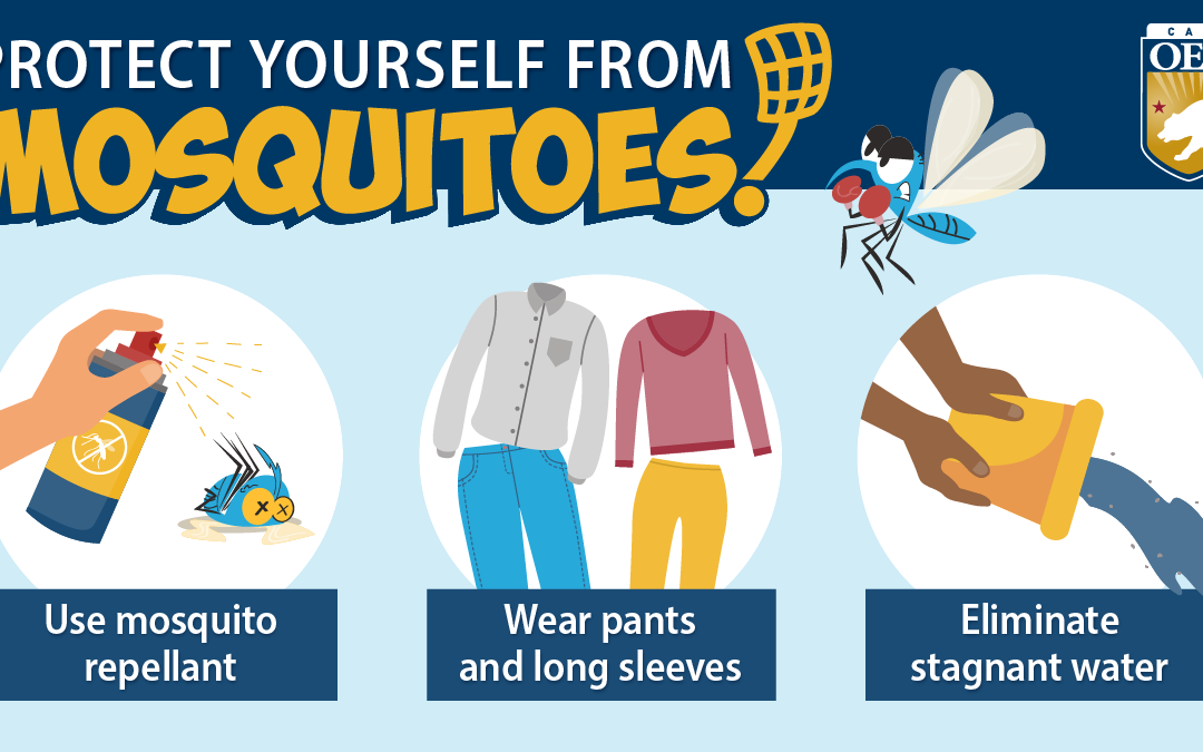 Storm Season Safety Mosquito Safety