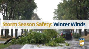 a downed tree in the middle of the street with the text storm season safety: winter winds