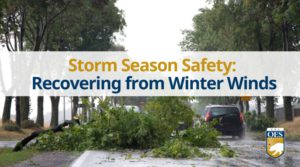 tree down in the middle of the road with text that reads storm season safety: recovering from winter winds