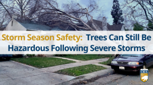 A graphic reading, "Storm Season Safety: Trees Can Still Be Hazardous Following Severe Storms". A Cal O E S logo on the bottom right. A photo of a tree that fell on a house behind the graphic.