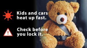 Teddy Bear wearing a seat belt with message about cars heating up quickly.