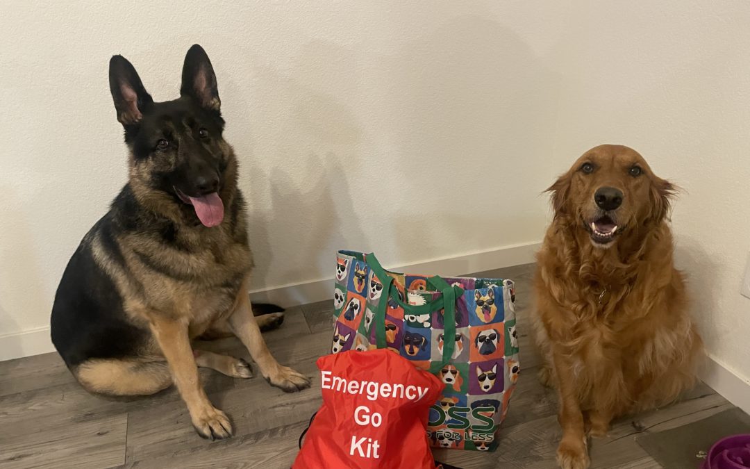 Take Steps to Keep Your Pet Safe During Pet Preparedness Month