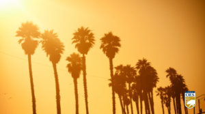 Image of sunny palm trees with an orange sky in the background. There is a Cal O E S logo in the bottom right corner,