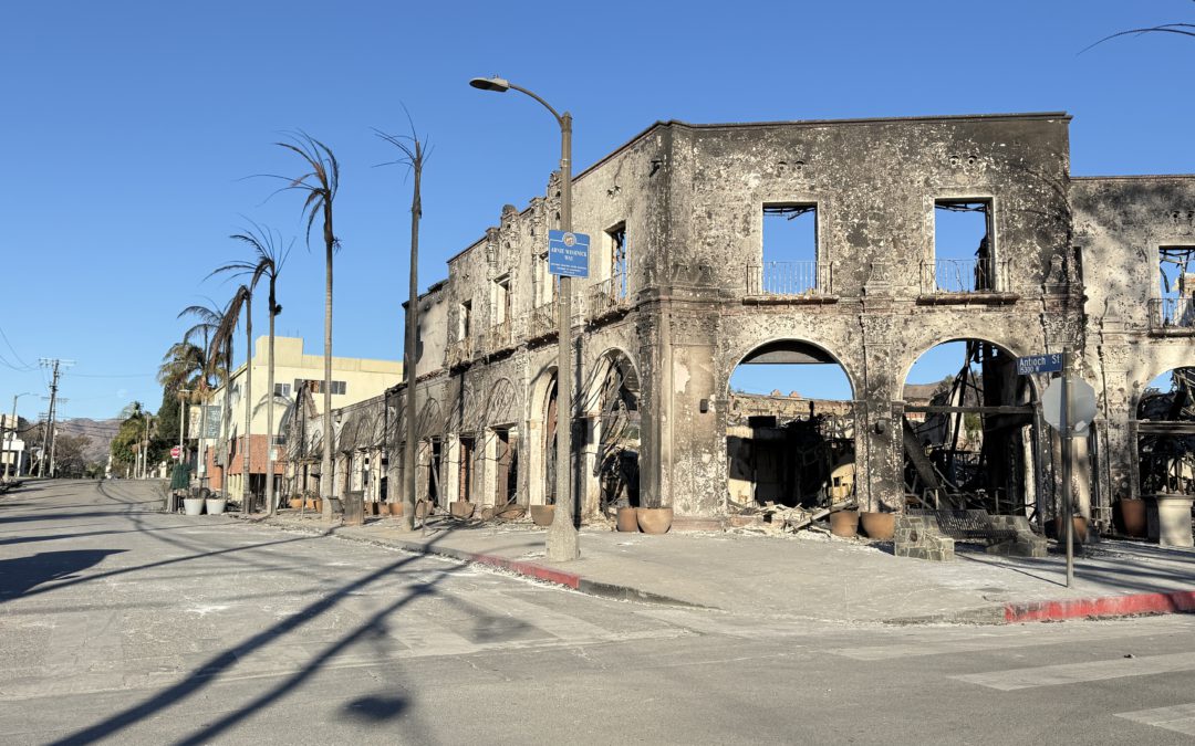 Wildfire Recovery: Individual Assistance vs. Public Assistance