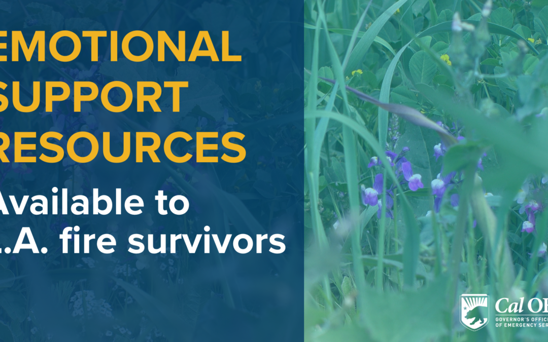 Emotional Recovery Resources Available for Palisades and Eaton Fire Survivors 