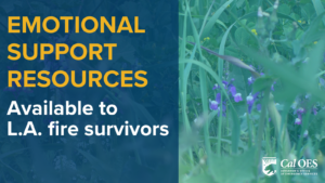 Emotional Support Resources Available