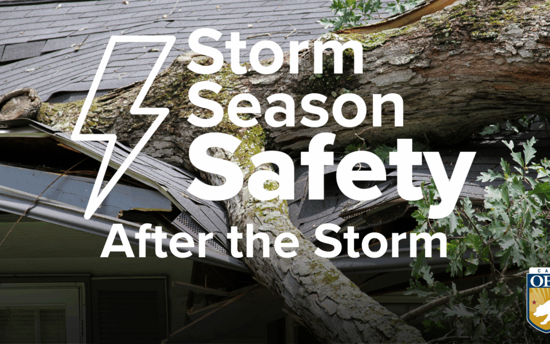 Storm Season Safety: After the Storm