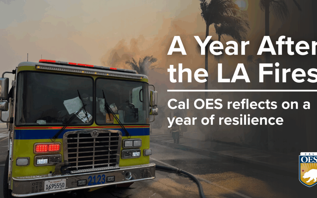 A Year After the LA Fires: Pacific Palisades and Altadena Communities Recover
