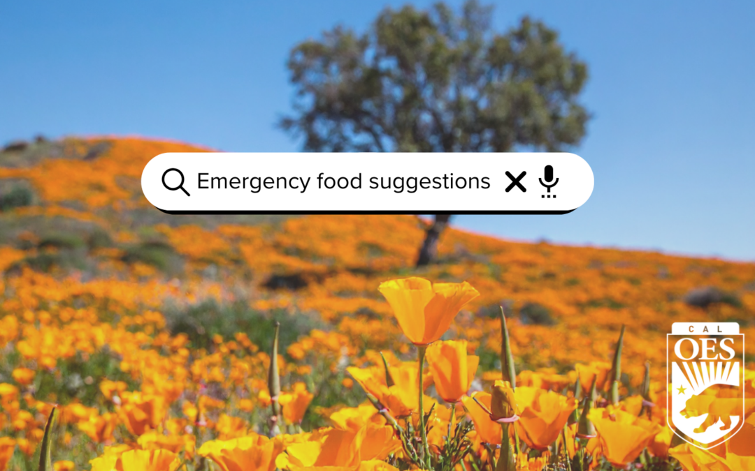 Be Prepared: Creating an Emergency Food Supply 