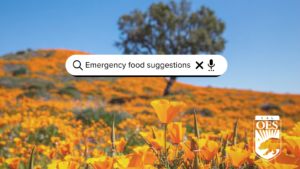A photo of a tree amid a field of California poppies with "Emergency food suggestions" in a search box over the photograph.