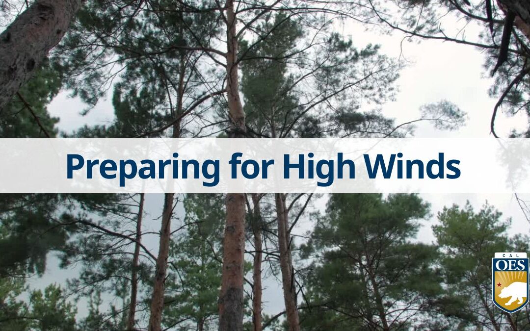 Stay Safe in High Winds