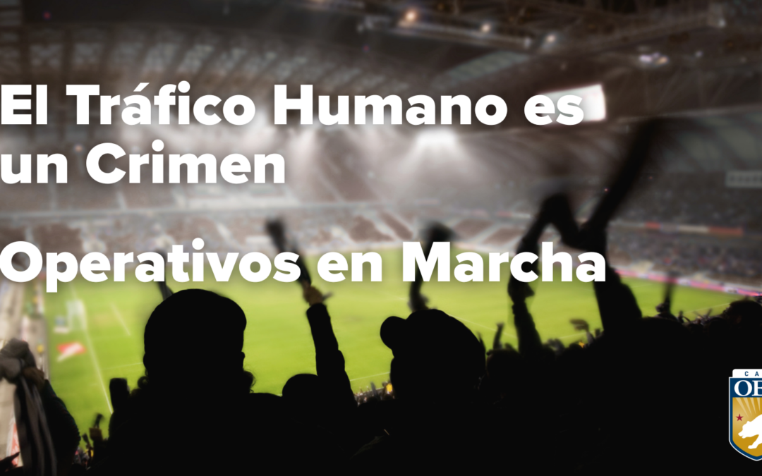 Copa Mundial de la FIFA 2026: Varios Partidos. Cero Tolerancia a la Explotación